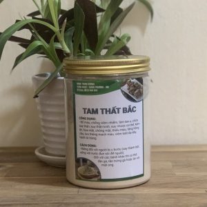 Tam Thất Bắc