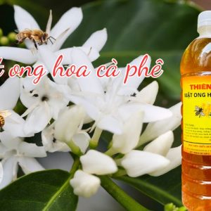 Mật ong hoa cà phê