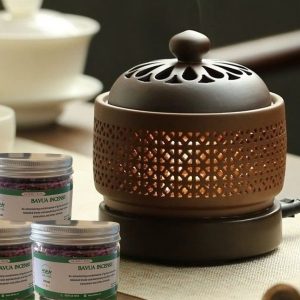 Lư Xông Trầm Điện
